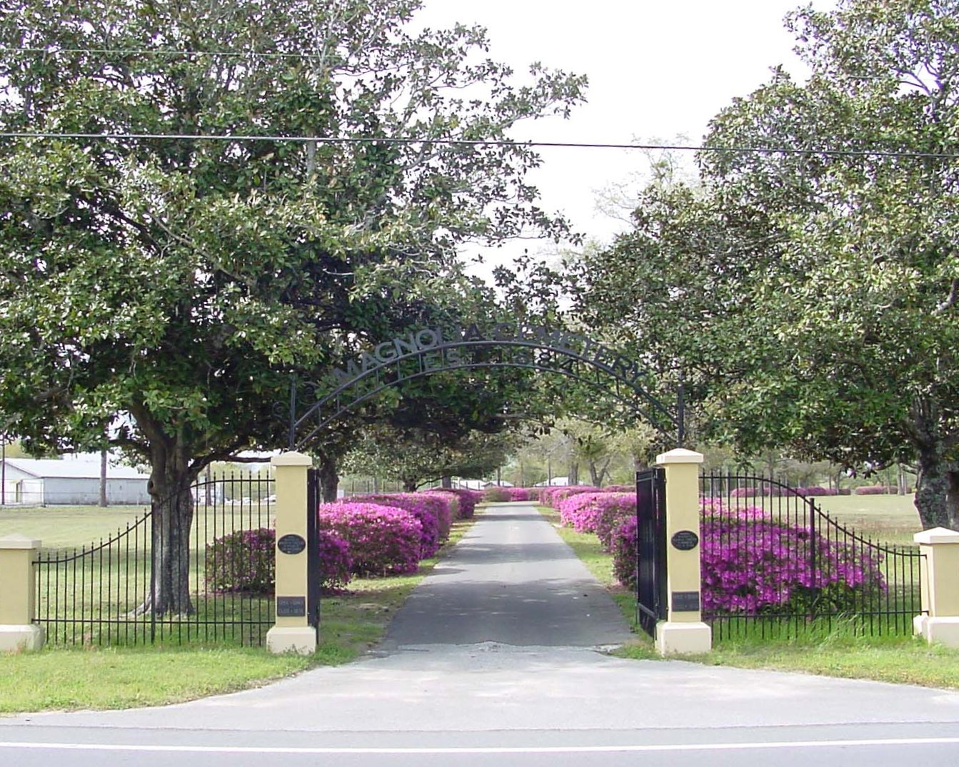 Magnolia Cemetery